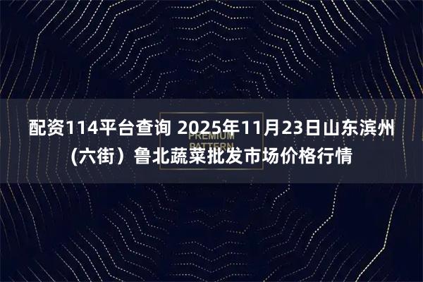 配资114平台查询 2025年11月23日山东滨州(六街）鲁北蔬菜批发市场价格行情