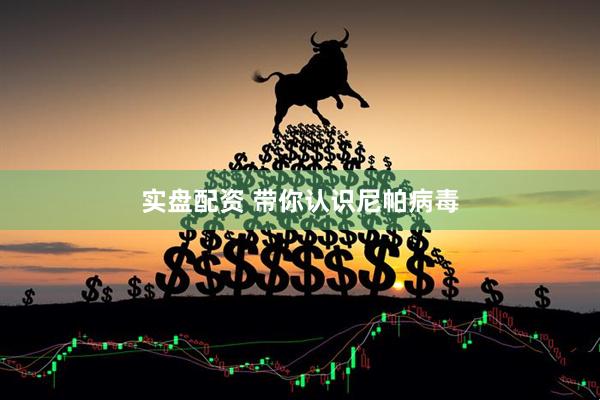 实盘配资 带你认识尼帕病毒